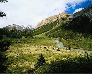 IO Interactive新开发的007游戏或为三部曲设计